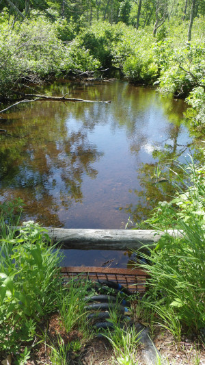 Island Inlet