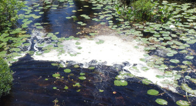 2025 Foam from wind